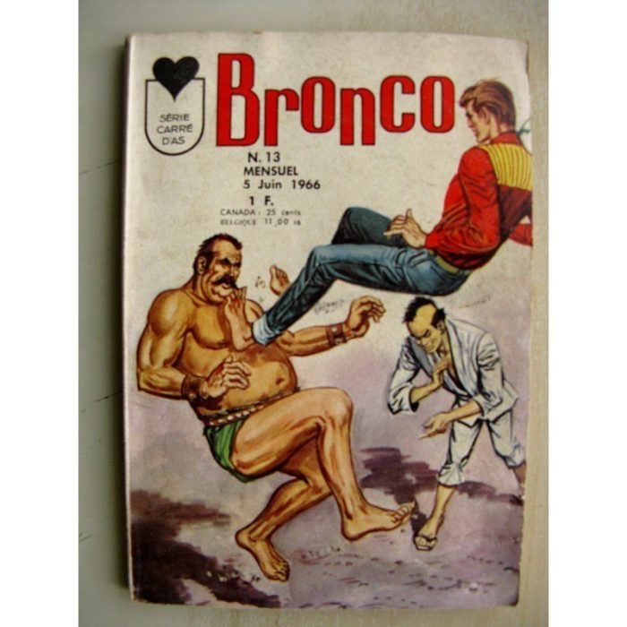 BRONCO N°13 VIKING (Drame dans la forêt) JED PUMA (Le masacre des bisons) Série carré d'As LUG 1966