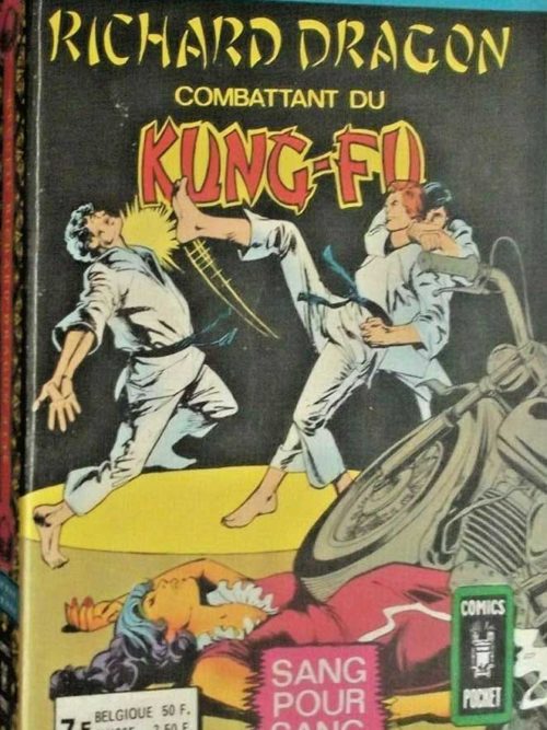 RICHARD DRAGON Combattant du Kung-Fu ALBUM 3145 (n°3-4) AREDIT