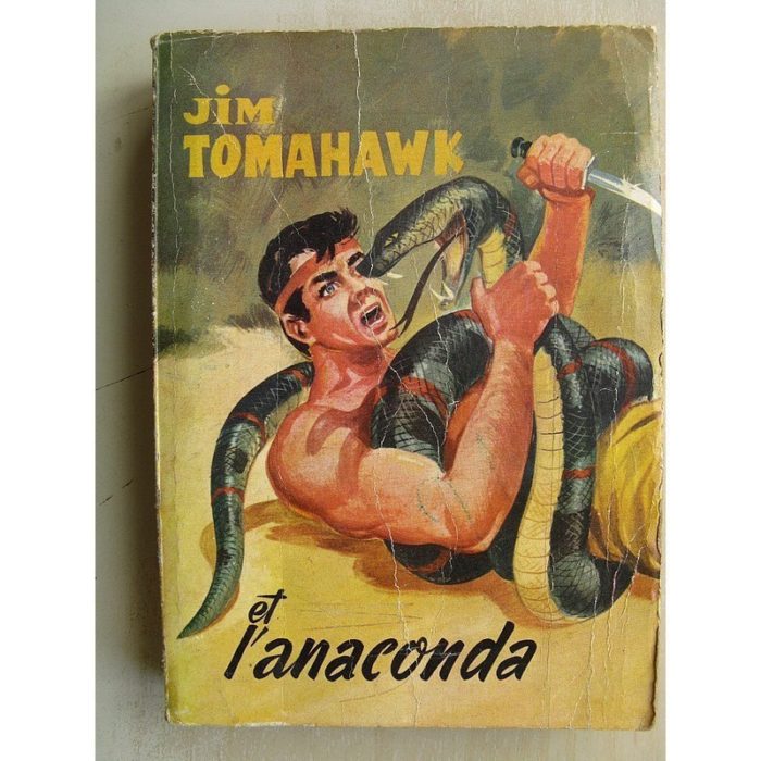 JIM TOMAHAWK ALBUM 4 - LA CITE DES INCAS (Ray Flo 1959)