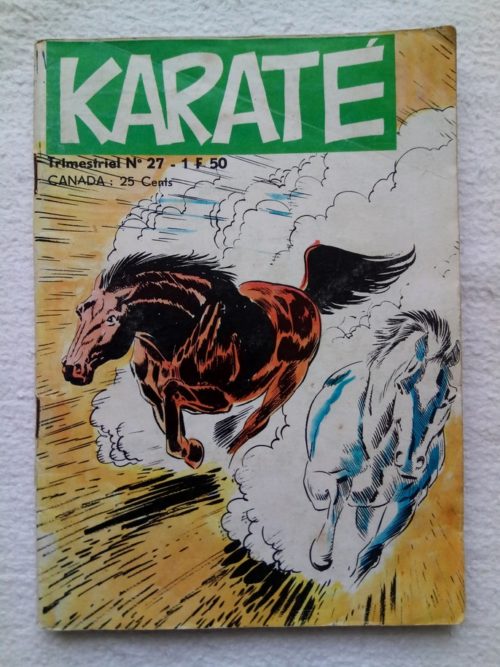 Karaté (le loup blanc) N°27 – Jeunesse et Vacances 1972
