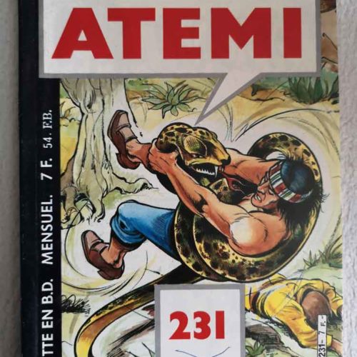 ATEMI N°231 Air-HAWK – La fièvre de Hong–Kong – Mon Journal 1986